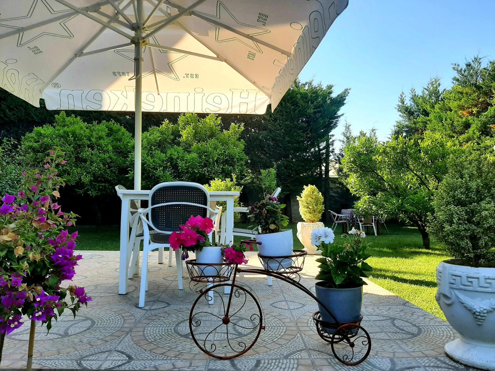 Hotel Vila Arbri بيرات المظهر الخارجي الصورة